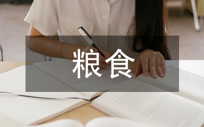 糧食經(jīng)濟(jì)講話