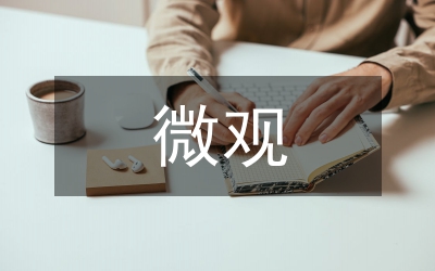 市場(chǎng)調(diào)節(jié)微觀性