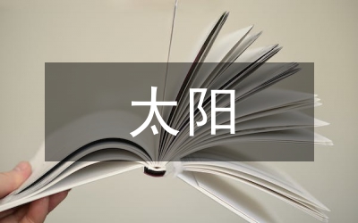 太陽食品的終端管理探究論文