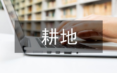 耕地保護整改情況匯報