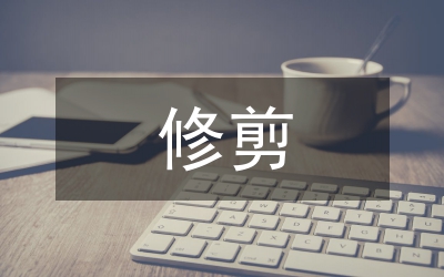大葉黃楊修剪技巧在園林設(shè)計的應用