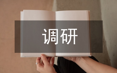 民族文化調(diào)研分析