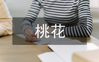藝術(shù)歌曲《一首桃花》演唱分析