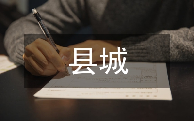 縣城投公司工作思路