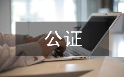 公證辦服務(wù)管理總結(jié)