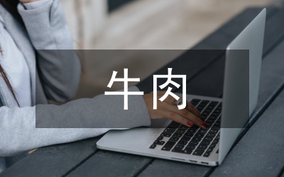 牛肉公司銷(xiāo)售部個(gè)人小結(jié)