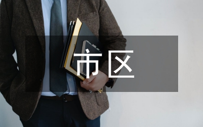 市區(qū)國土分局黨委半年總結(jié)