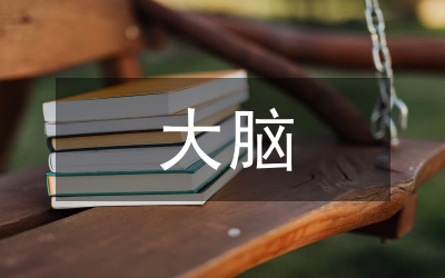 大腦思維訓(xùn)練方法