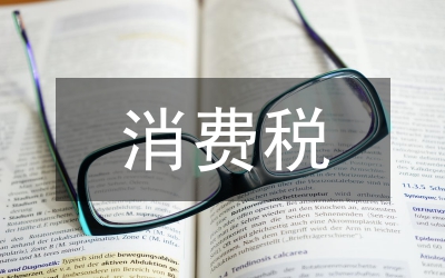 消費(fèi)稅實(shí)訓(xùn)總結(jié)