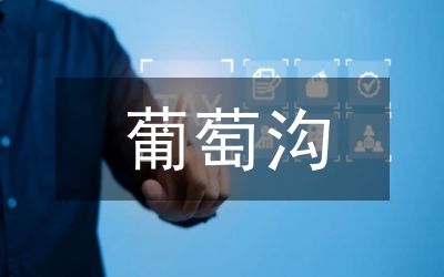 小議藤稔葡萄高質(zhì)高產(chǎn)種植