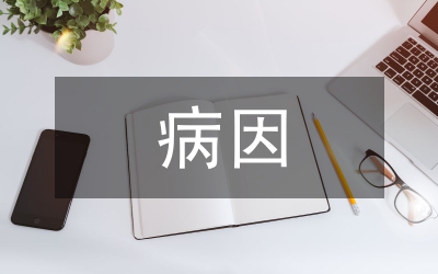 小議云杉病因及其防治方法
