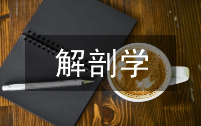 扣帶溝分支解剖學(xué)論文