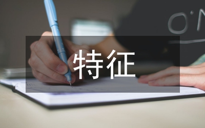 創(chuàng)新思維的綜合性特征表現(xiàn)