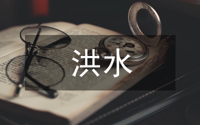 洪水泥沙管理分析論文