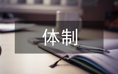 期權(quán)體制
