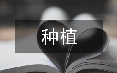 經(jīng)果林種植方式