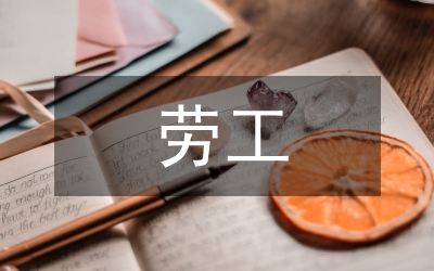 國(guó)際貿(mào)易勞工標(biāo)準(zhǔn)的不同立場(chǎng)