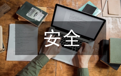 安全監(jiān)理工作總結(jié)