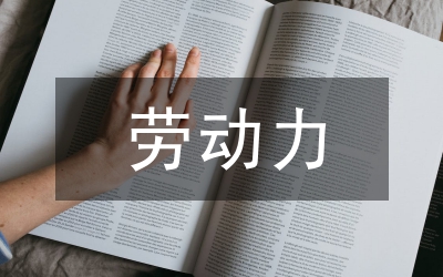 勞動力資源與能源安全論文