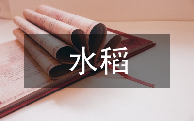 探水稻田間機(jī)械插秧優(yōu)越性論文