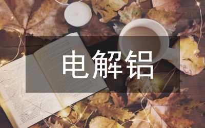 電解鋁企業(yè)財(cái)務(wù)風(fēng)險(xiǎn)及防范對策