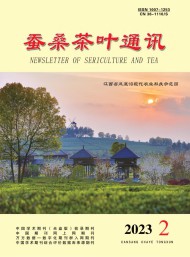 茶?？萍寂c信息
